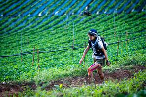 BIB: 
                            <button type="button" onclick="openModal(19160021)" class="btn btn-primary btn-sm float-right btn-popup" data-toggle="modal" data-target=".modal-high-quality">
                        <i class="fas fa-shopping-cart"></i> Add to Cart
                    </button>
                                            <button type="button" onclick="isThisMe(19160021, true)" class="btn btn-success btn-sm float-right btn-popup btn-isme hidden" data-toggle="tooltip" data-placement="bottom" title="นี่คือรูปของคุณใช่ไหม คลิกที่นี่เพื่อเอาเข้าอัลบั้ม">
                        <i class="fas fa-plus"></i> Add to album
                    </button>
                    <button type="button" onclick="isThisMe(19160021, false)" class="btn btn-warning btn-sm float-right btn-popup btn-isnotme hidden">
                        <i class="fas fa-ban"></i> Remove from album
                    </button>